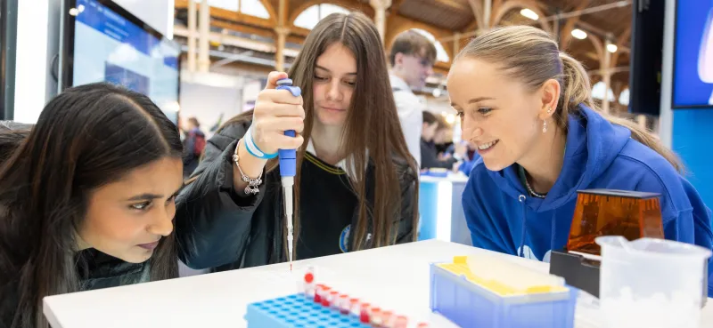 The Five-Year Fault Line: What Is Driving Early-Career Chemists Out of Academia—and How Universities Can Respond